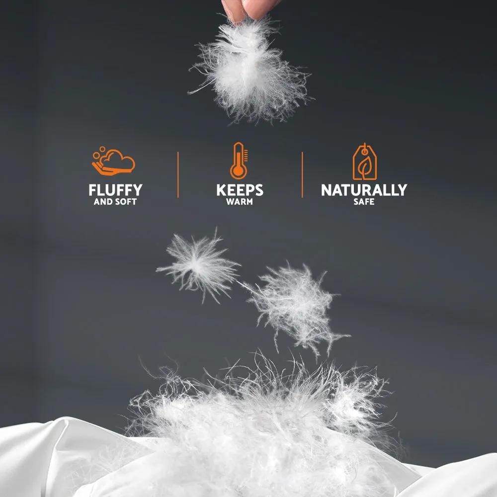 500GSM Goose Down Feather Quilt Queen - Baffle Construction Giselle Bedding