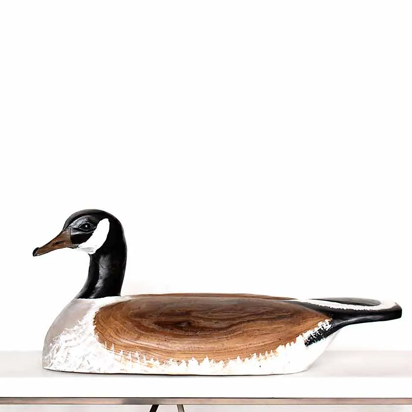 Canada Goose